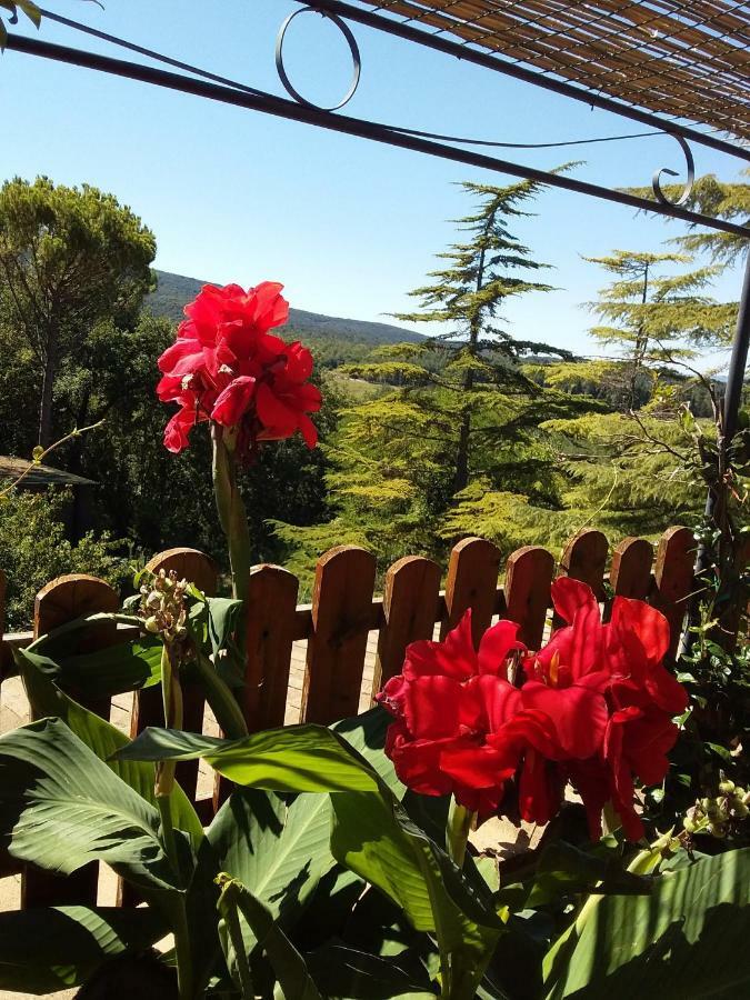 Castellino4Holidays モンテリッジョーニ エクステリア 写真